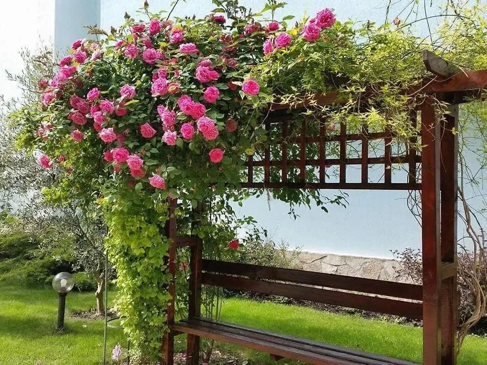 Yassen Holiday Village Slantchev Briag 3*,